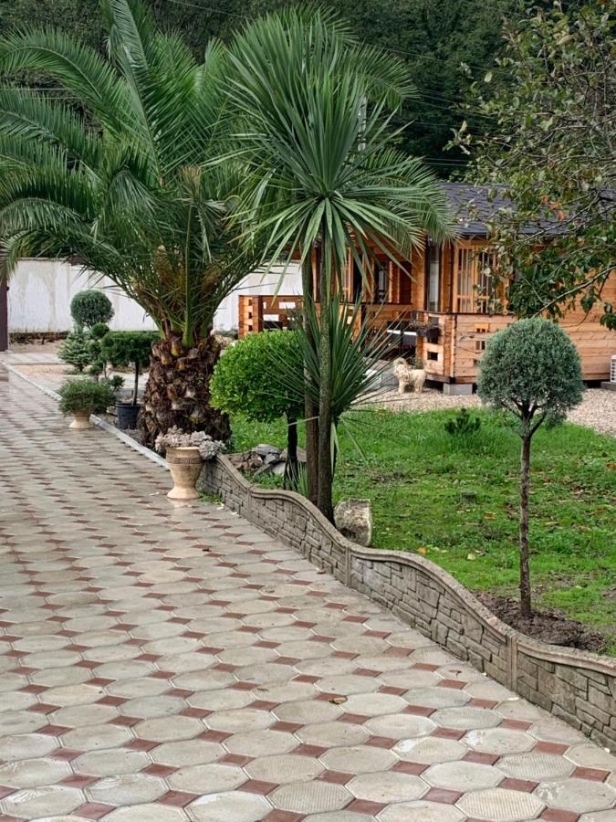 Olginka Villa Gagra Ngoại thất bức ảnh