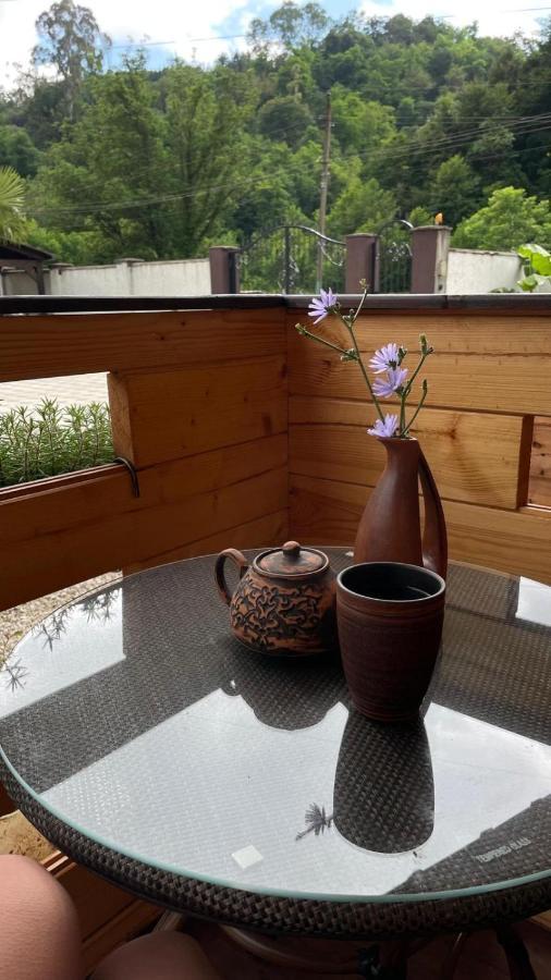 Olginka Villa Gagra Ngoại thất bức ảnh