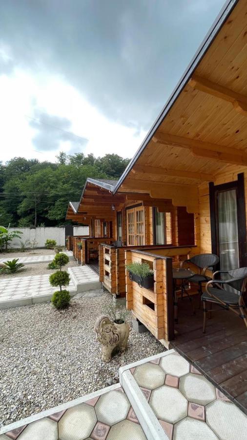 Olginka Villa Gagra Ngoại thất bức ảnh