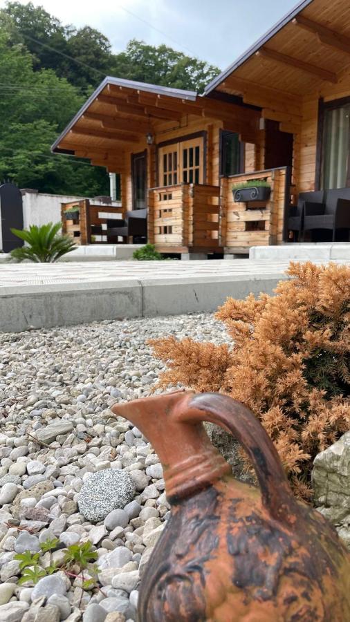 Olginka Villa Gagra Ngoại thất bức ảnh