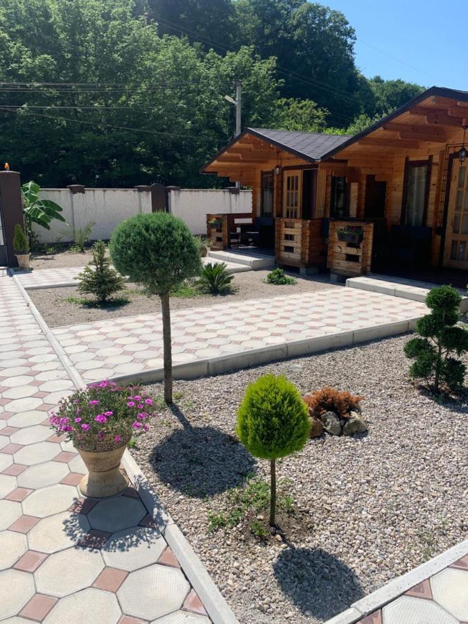 Olginka Villa Gagra Ngoại thất bức ảnh